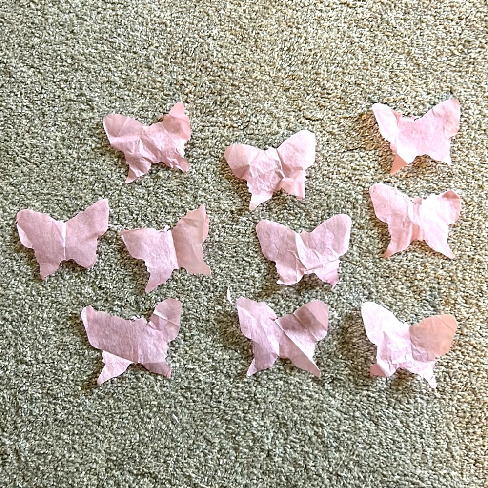 Melanie Martinez Confetti from the Washington D.C show